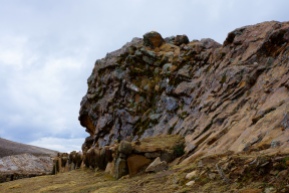 Isla del Sol, ruines incas de Chincana , rocher du jaguar